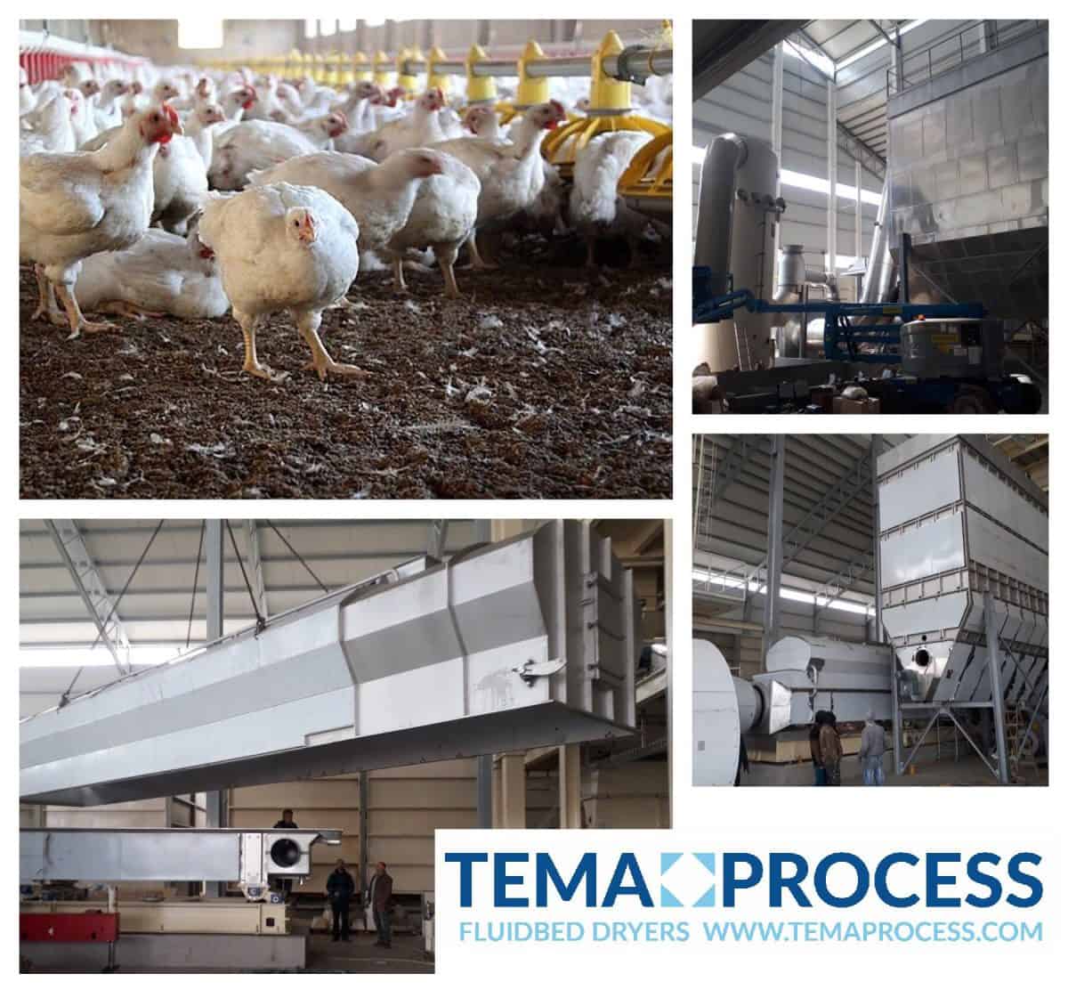 poultry manure drying
