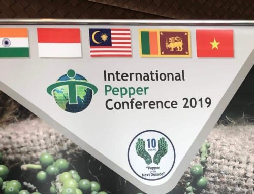 International Pepper Conference (IPC) 2019 in Vietnam