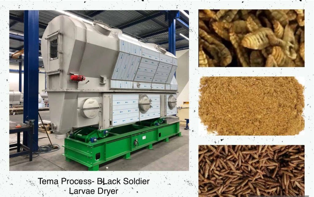 Black Soldier Larvae Dryer