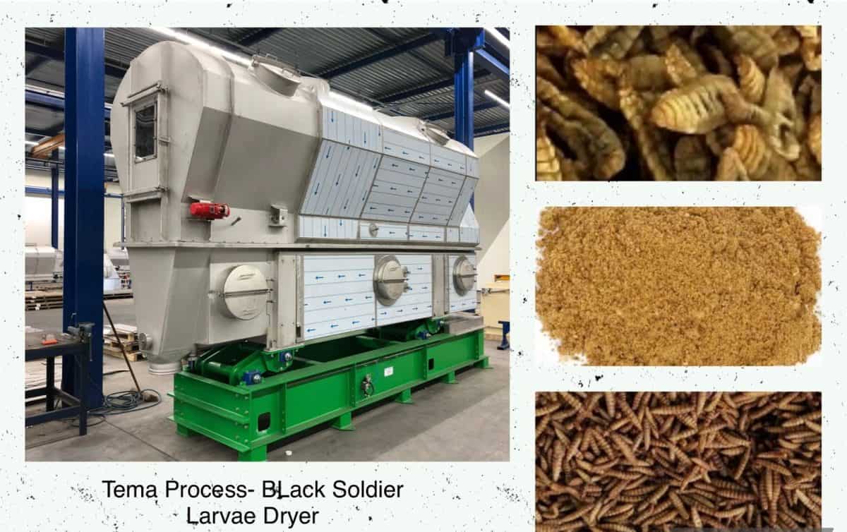 Black Soldier Larvae Dryer