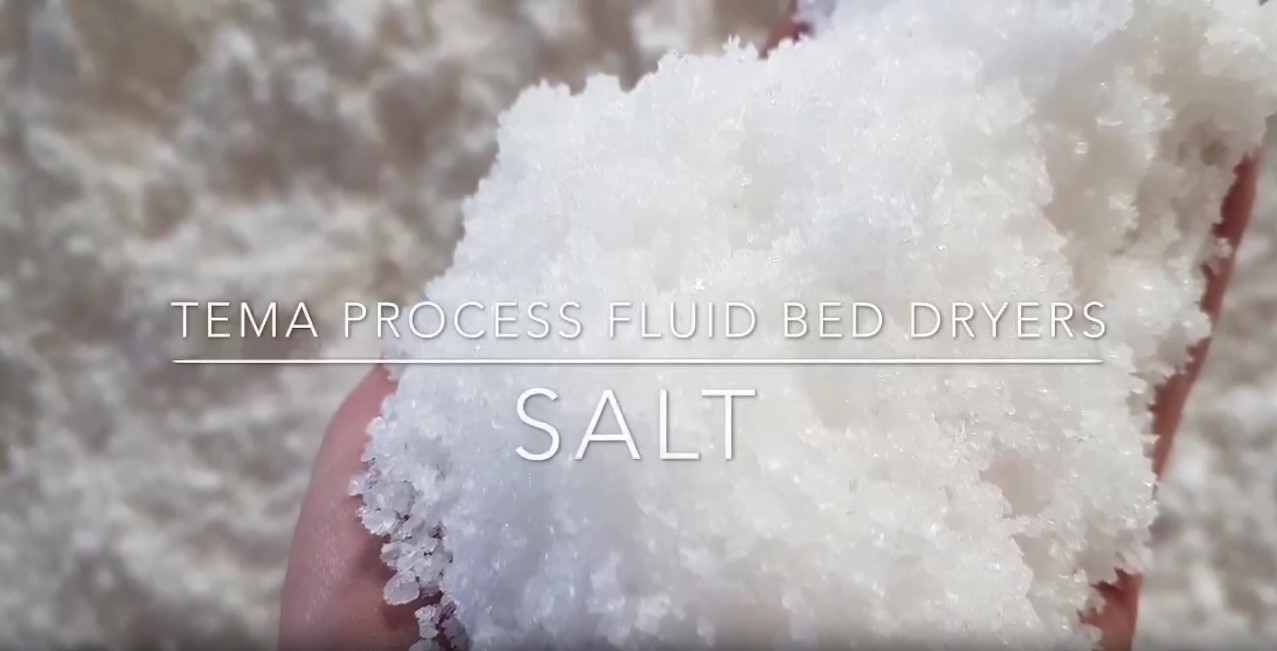 Fluid bed dryer for salt 1
