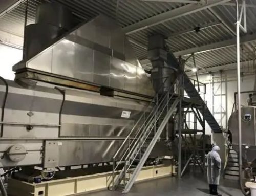 Optimizing Bread Crumb Manufacturing with a Tema Process Fluid Bed Dryer