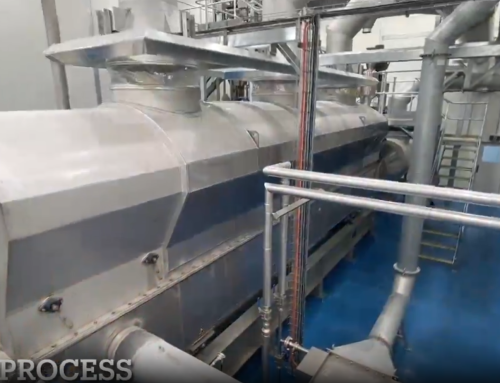 Black Soldier Fly Larvae Dryers, Tema Sub-fluid bed dryers