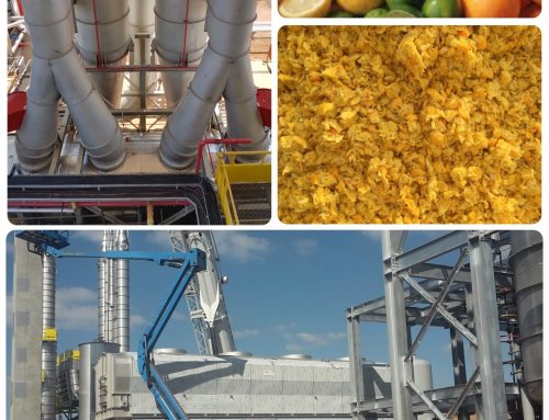  Drying citrus pulp for pectin production