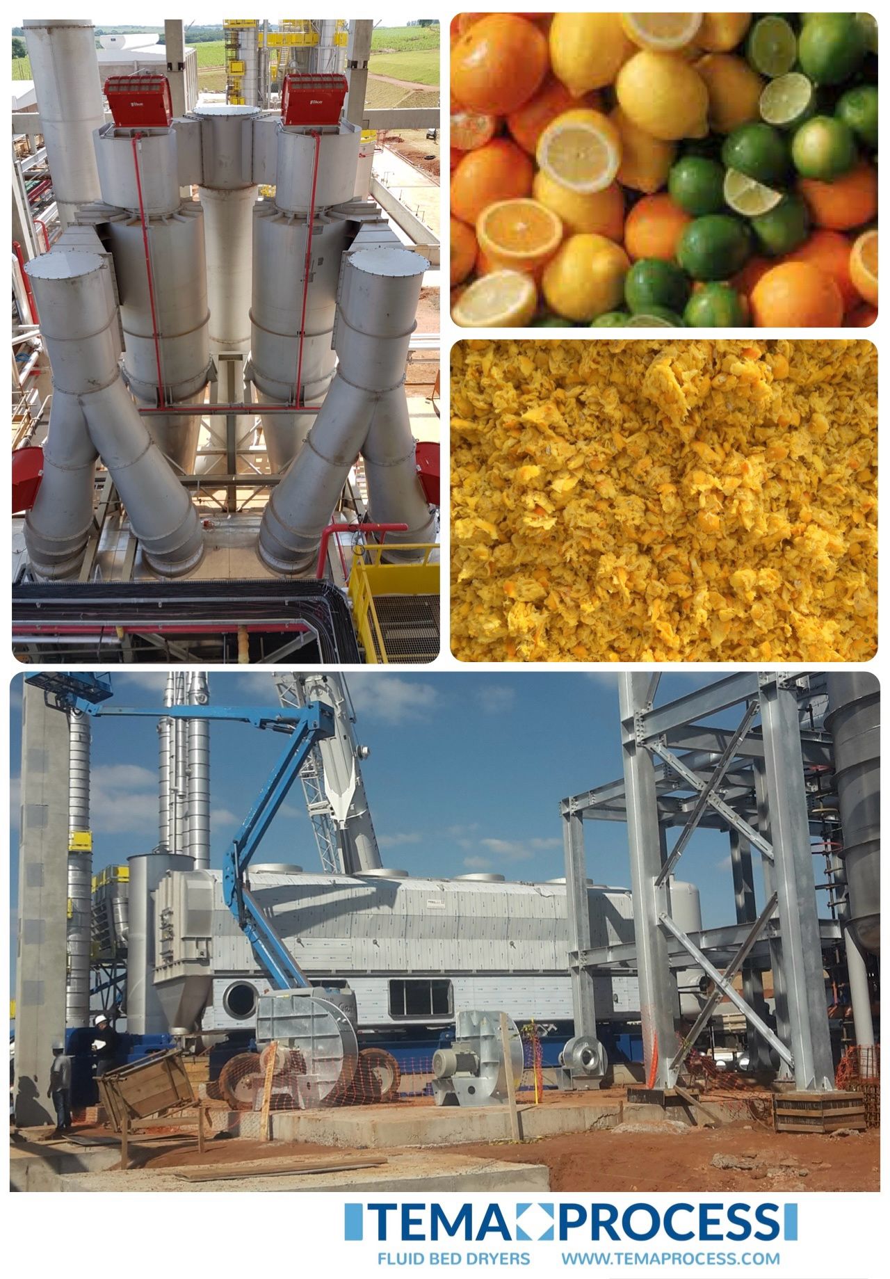  Drying citrus pulp for pectin production