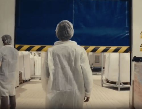 Processing Technologies for Breadcrumbs