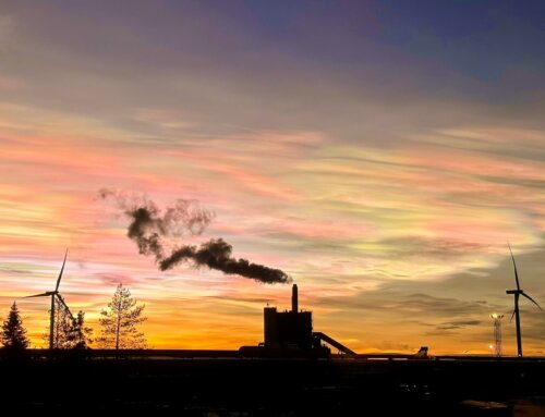 How BioCoal drying supports decarbonized steel production