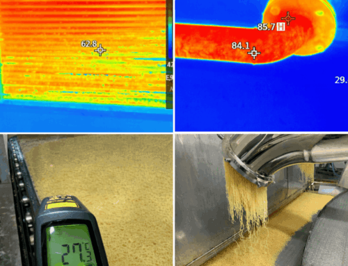 Energy savings in gelatin drying tunnels: small improvements, major impact